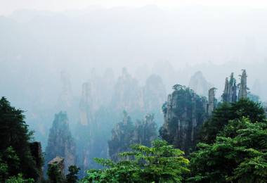 難忘的張家界之旅，美不盛收的武陵源美景！